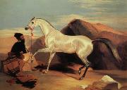 Sir Edwin Landseer Arab stable ion oil on canvas